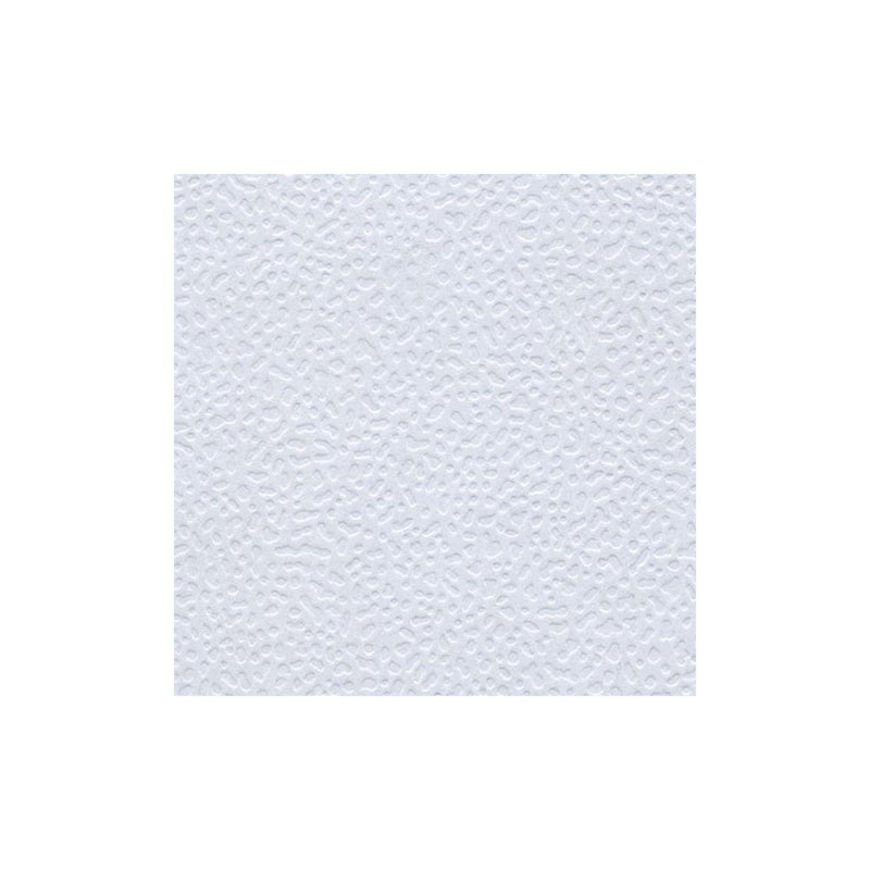 APSA ACABADOS DE PAPELES Y SATINADOS, S.A. DE C.V. CASCARON MEDIO*