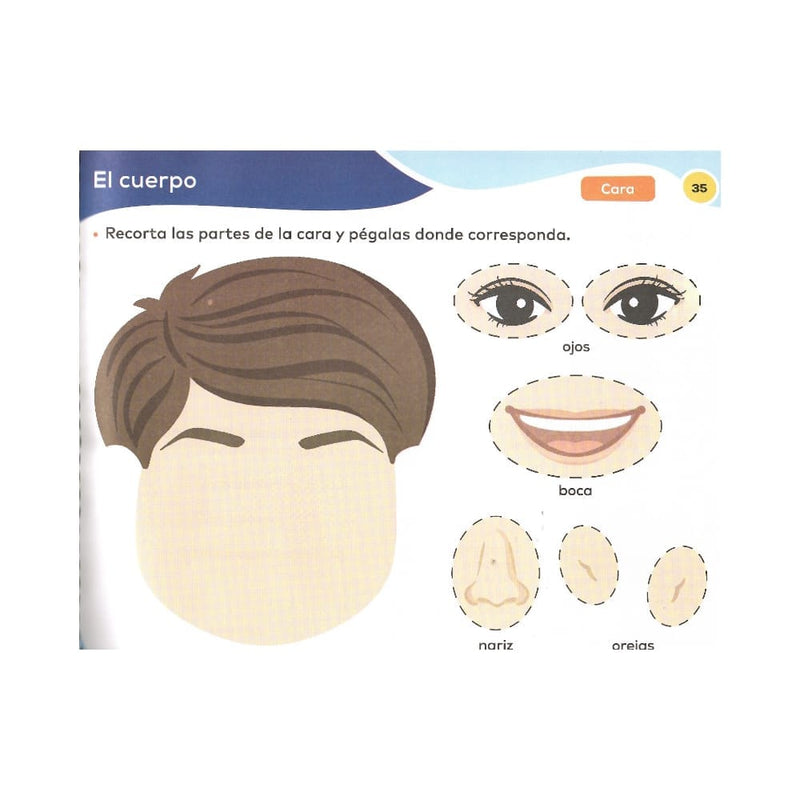 Larousse EDICIONES LAROUSSE, S.A. DE C.V. LIBRO ACTIVIDADES TAREAS, PAPEL Y TIJERAS 2