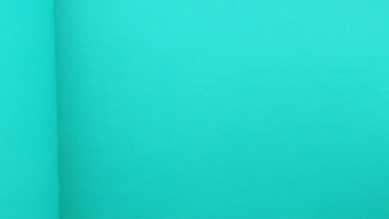 Pascua MEGAFUMI, S.A. DE C.V. FOAMY EXTENDIDO 70X95CM VERDE BANDERA*