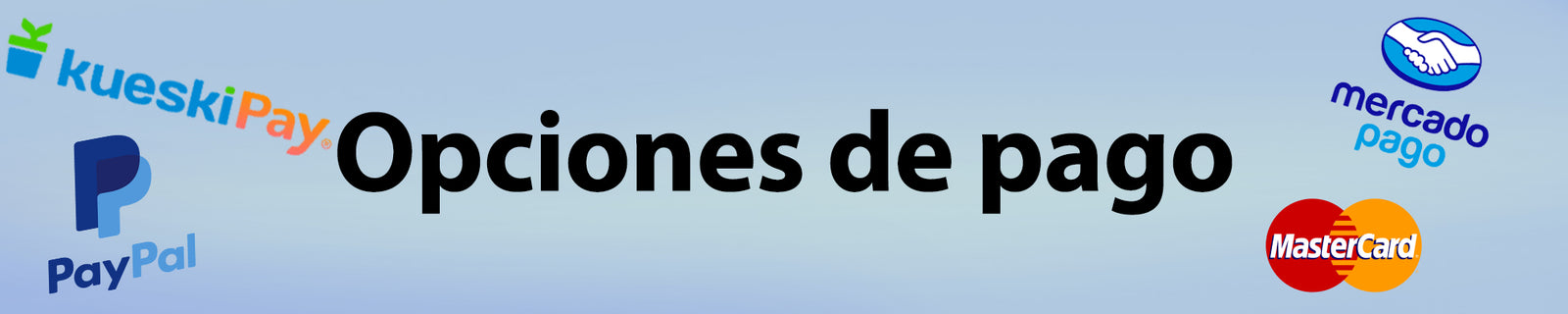 Opciones de pago