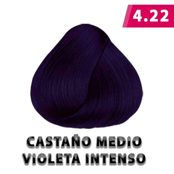 Nefertiti BEFIBA, S.A. DE C.V. TINTE NEFERTITI 90G 4.66/4.22 CASTAÑO MED. VIOLETA INTENSO