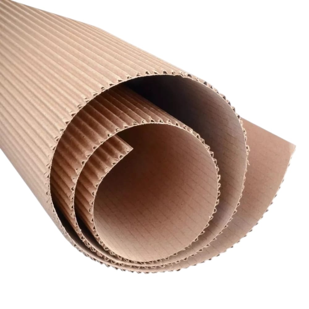 Saira DISTRIBUIDORA SAJOR, S.A. DE C.V. CARTON CORRUGADO 77X54 NATURAL