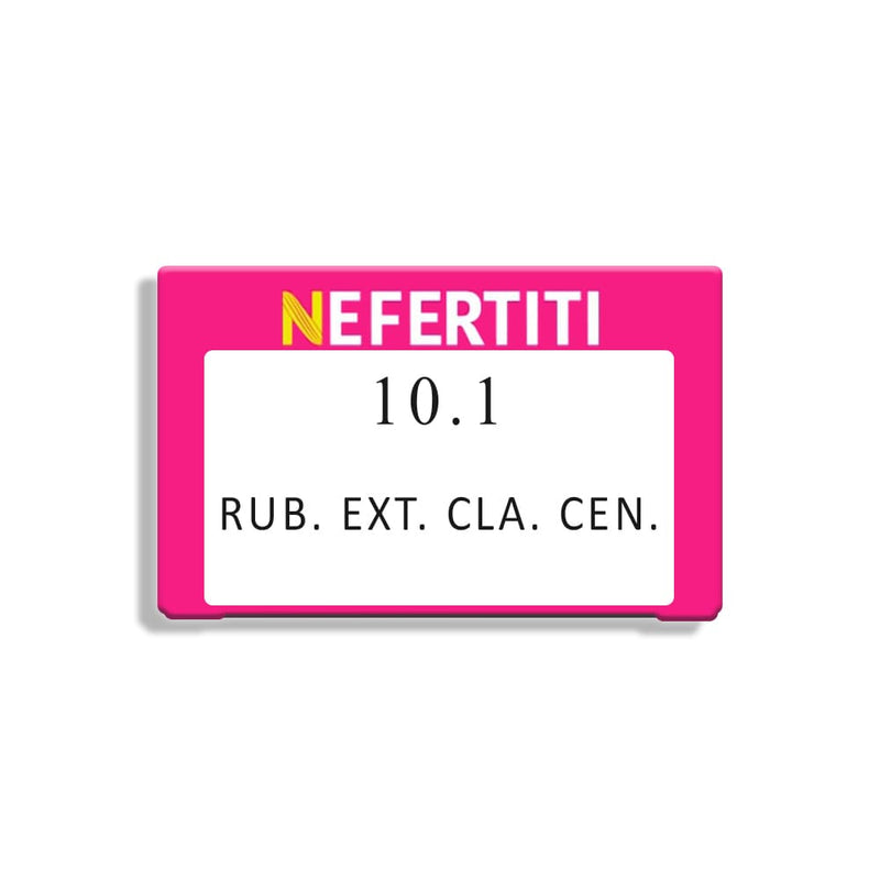 Nefertiti BEFIBA, S.A. DE C.V. TINTE NEFERTITI 90G 10.1 RUBIO EXTRA CLARO CENIZO