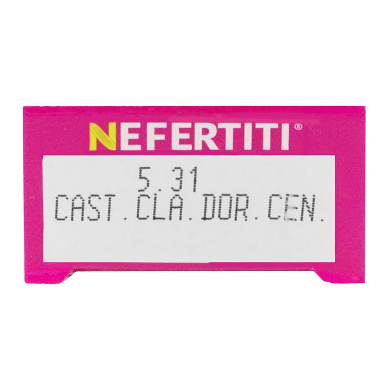 Nefertiti BEFIBA, S.A. DE C.V. TINTE NEFERTITI 5.31 CASTAÑO CLARO DORADO CENIZO 90G