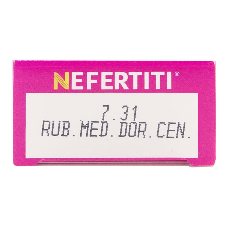 Nefertiti BEFIBA, S.A. DE C.V. TINTE NEFERTITI 7.31 RUBIO MEDIANO DORADO CENIZO 90G